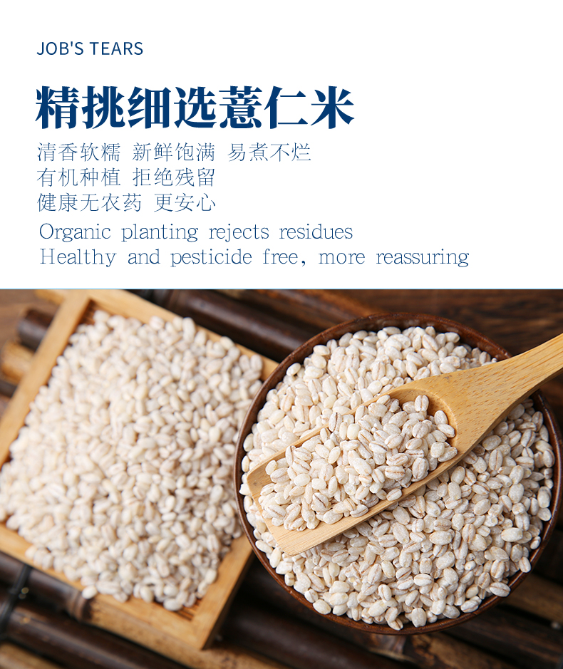 薏米_05.jpg