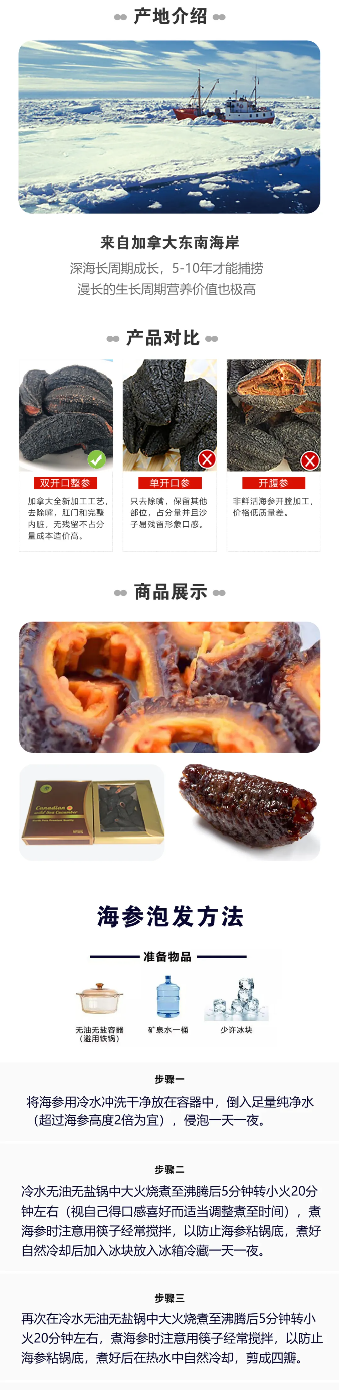 海参2.png